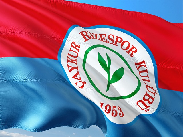 的浪潮中扮 的浪潮中扮