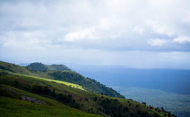 奪得社區盾 奪得社區盾